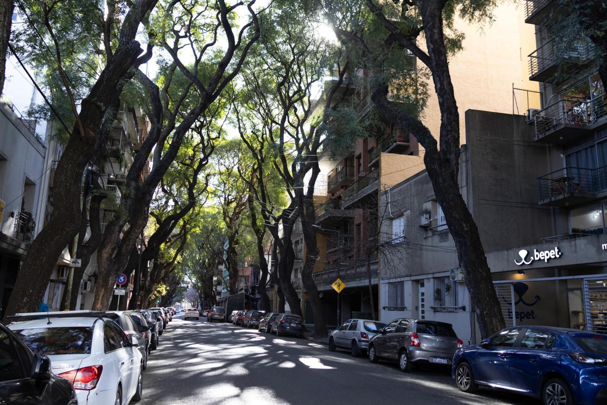 Ferienwohnung Palermo Soho G4827 - Departamentos Modernos, Amplios Y Luminosos Buenos Aires Exterior foto
