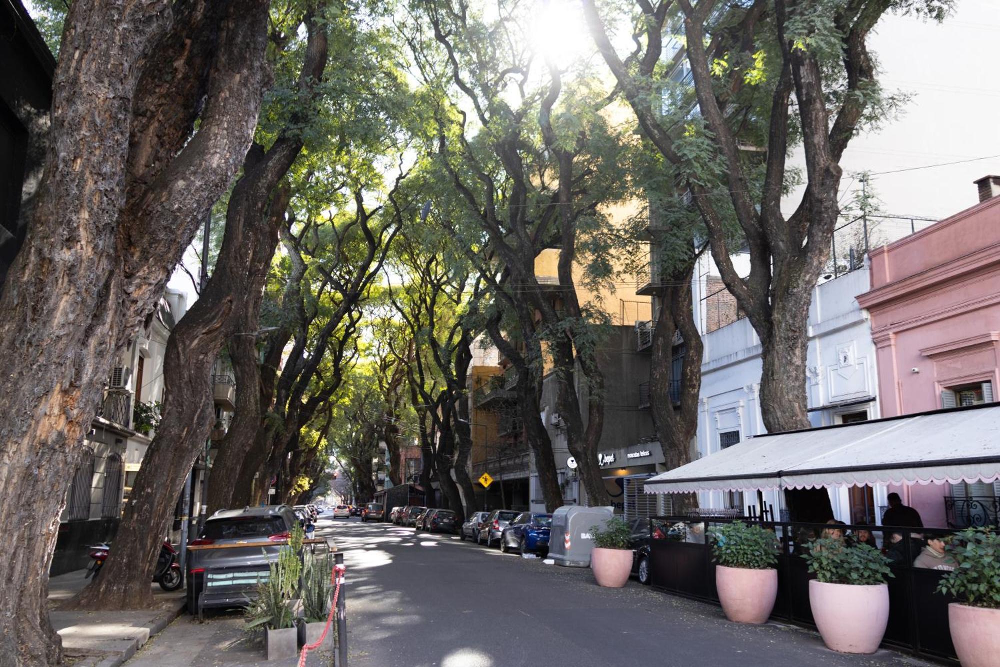 Ferienwohnung Palermo Soho G4827 - Departamentos Modernos, Amplios Y Luminosos Buenos Aires Exterior foto